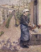 Camille Pissarro Woman washing dishes oil painting
